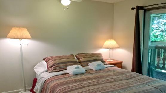 Mt. Baker Lodging Condo #09 - CONVENIENT, INEXPENSIVE, KITCHENETTE, SLEEPS-2!